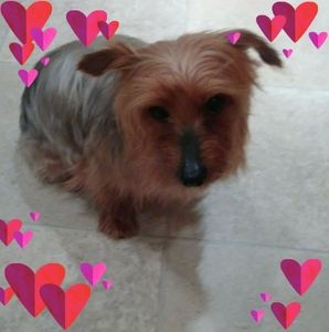 Meet your Posher, Patti